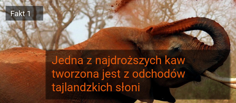 kawa czarna